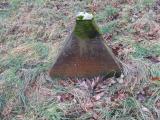 image of grave number 828187